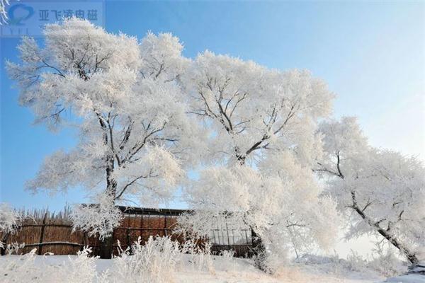 加速推动煤改电锅炉-郑州亚飞凌电锅炉厂家密切关注动态