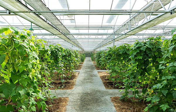 亚飞凌电蒸汽锅炉厂家